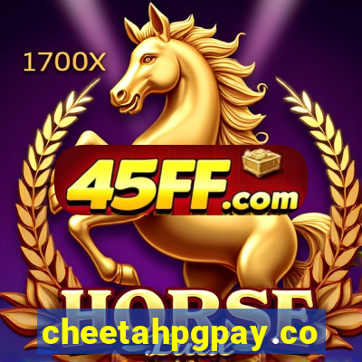 cheetahpgpay.com