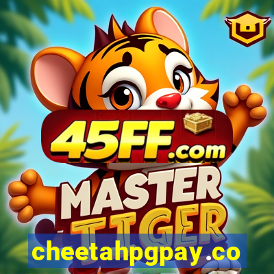 cheetahpgpay.com