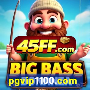 pgvip1100.com