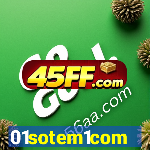 01sotem1com