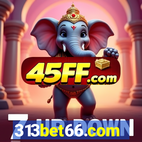 313bet66.com