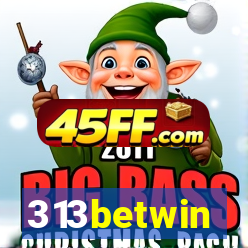 313betwin