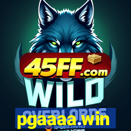 pgaaaa.win
